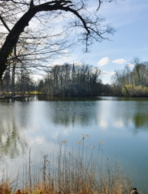 bildgalerie_quadratisch_domaene_see