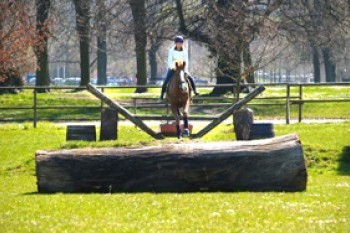 anreisser reitverein 02