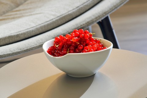 startseite_rote_beeren
