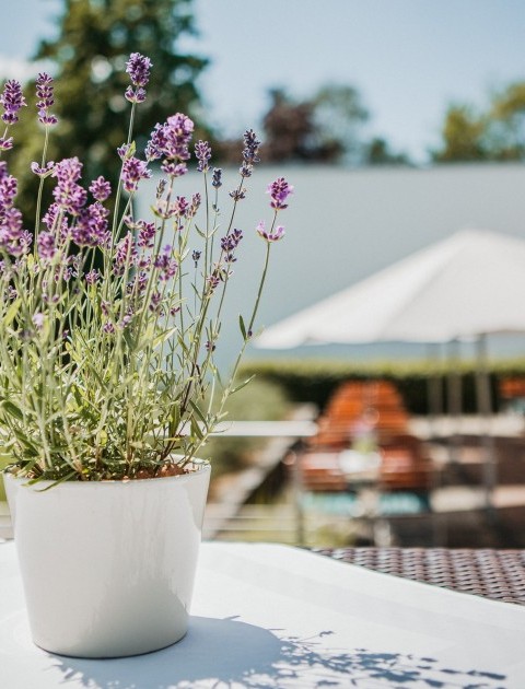 schlosshotelmonreposterrasselounge-10